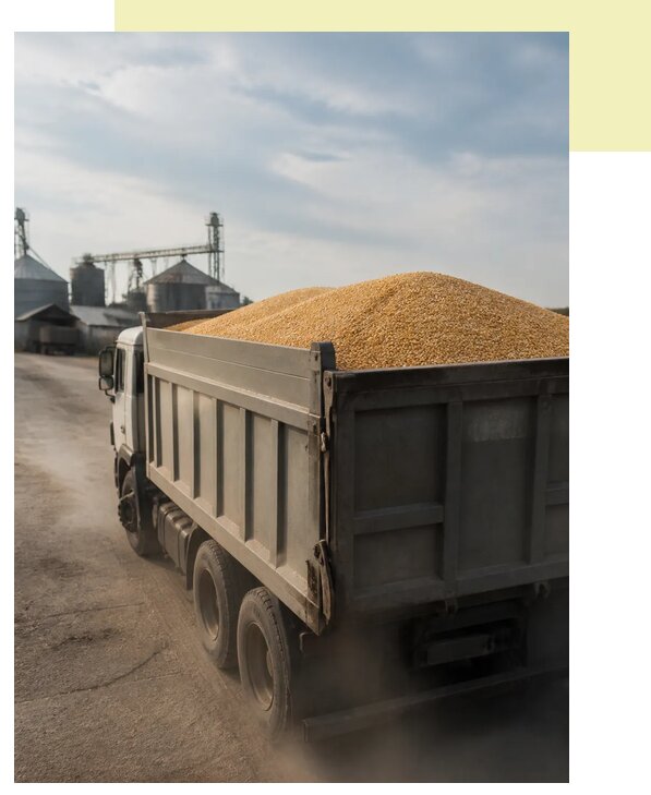 Перевозка сельхозпродукции навалом в Новошахтинск по цене от 3125 р. | Агросервис-Нвш